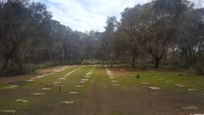 Pet headstones in Lawsnwood pet graveyard