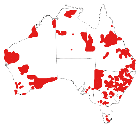 Parvovirus in Australia Distribution Map