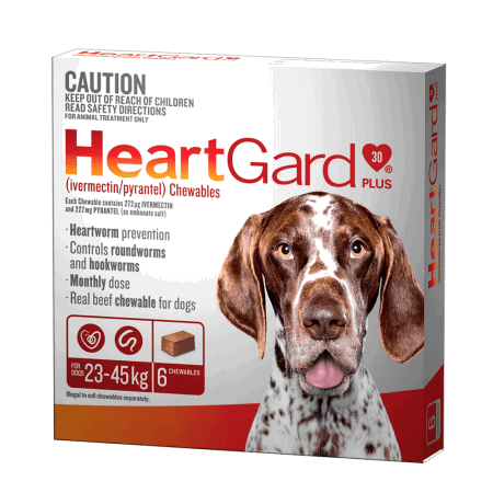 Heartworm preventi s fashion for dogs 2019