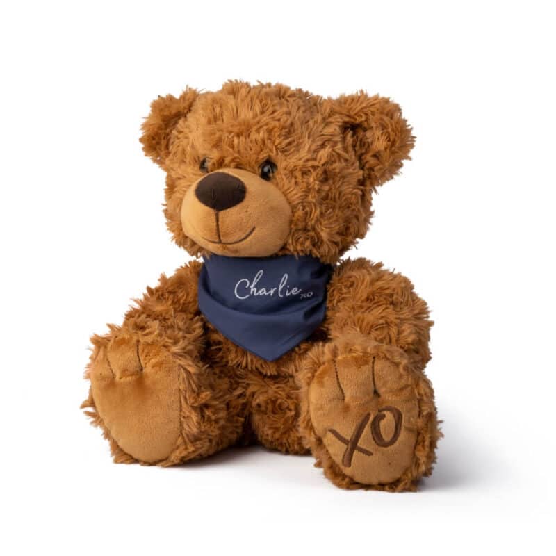 Memorial Bear With Bandana